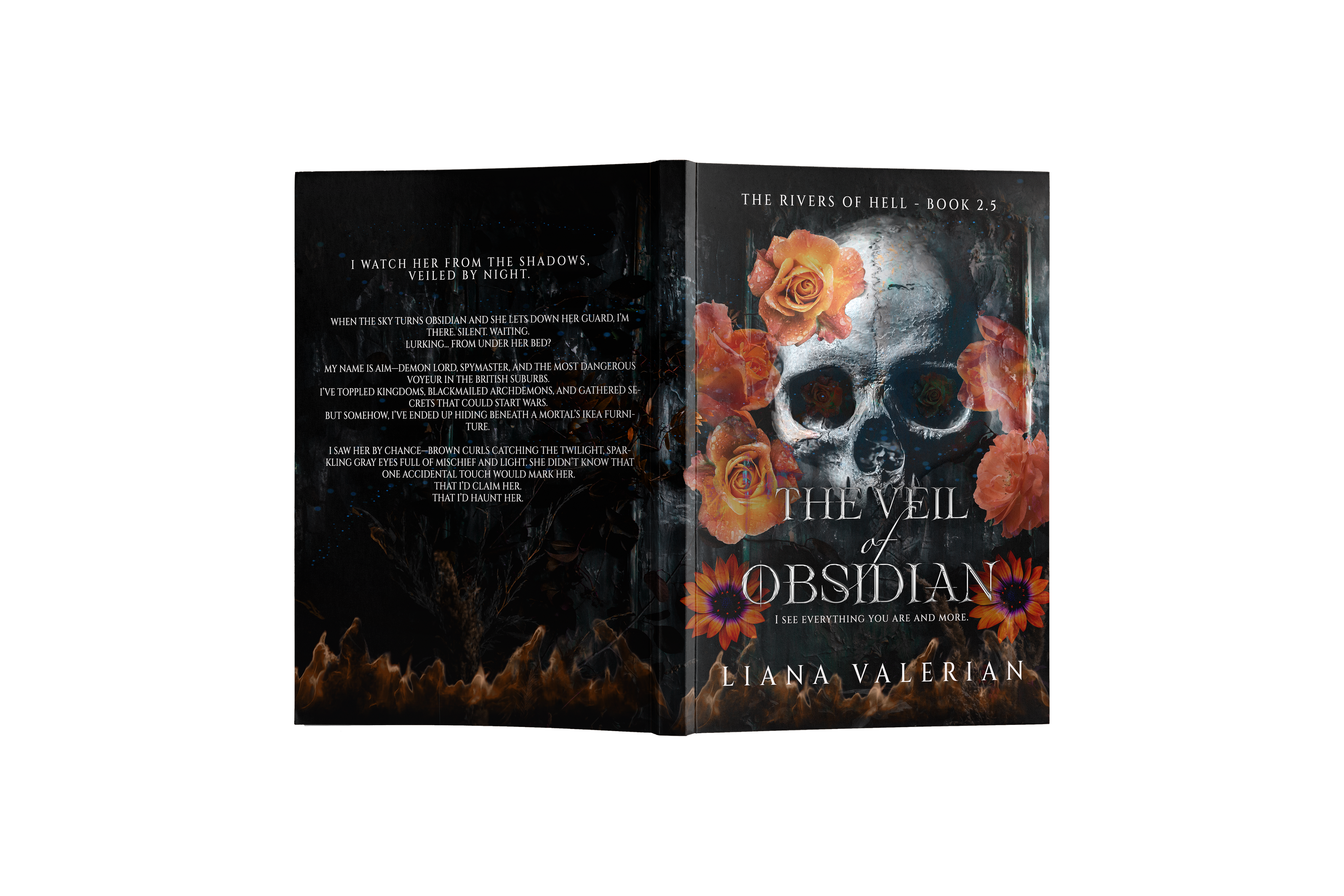 The Veil of Obsidian: Signed Paperback or Hardback